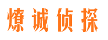 崂山市调查公司